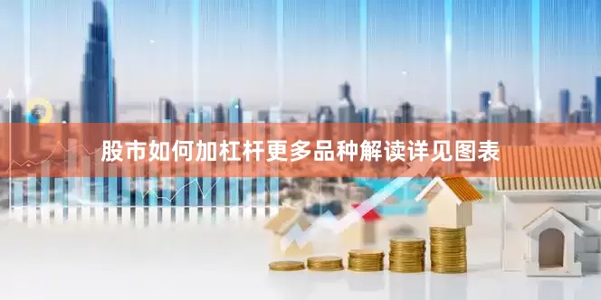 股市如何加杠杆更多品种解读详见图表