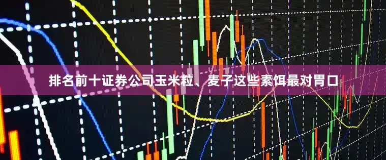 排名前十证券公司玉米粒、麦子这些素饵最对胃口